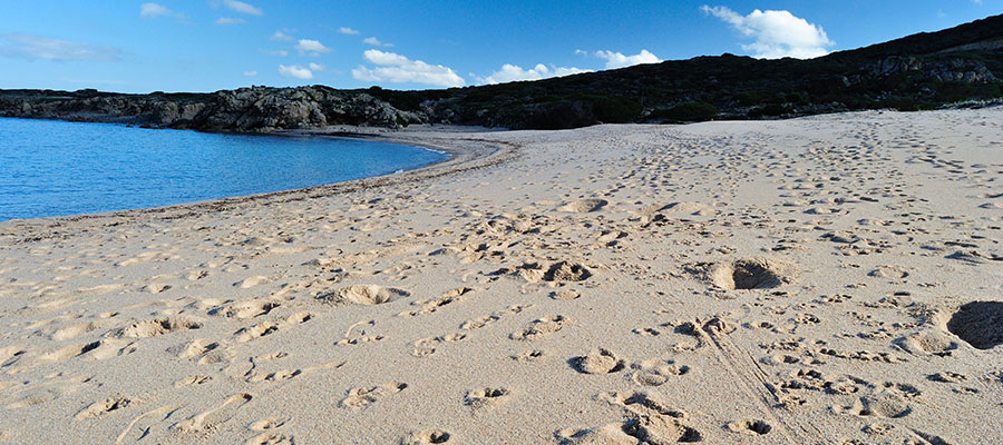 Veduta della spiaggia Cala Pischina Sardegna